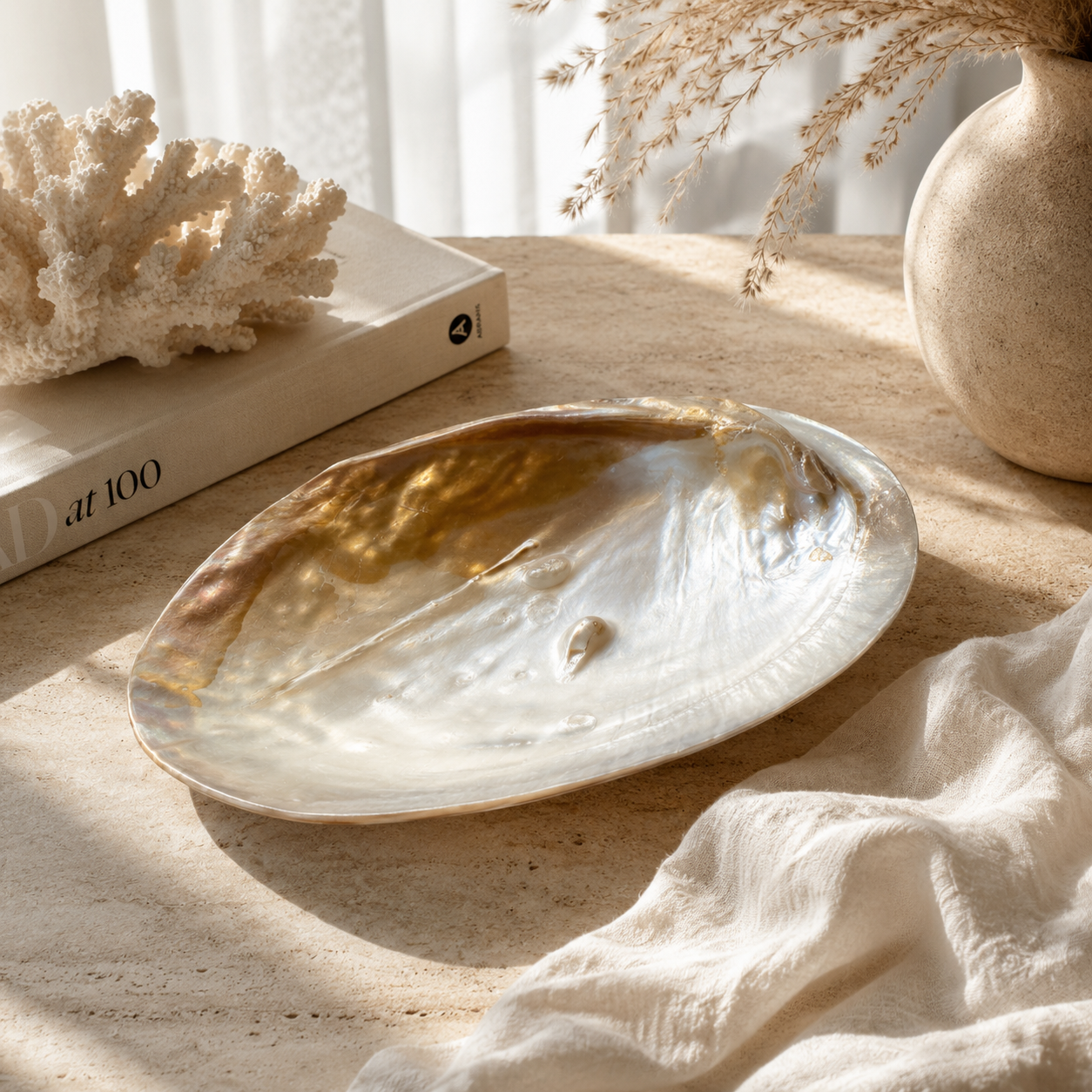 Mother of Pearl Shell