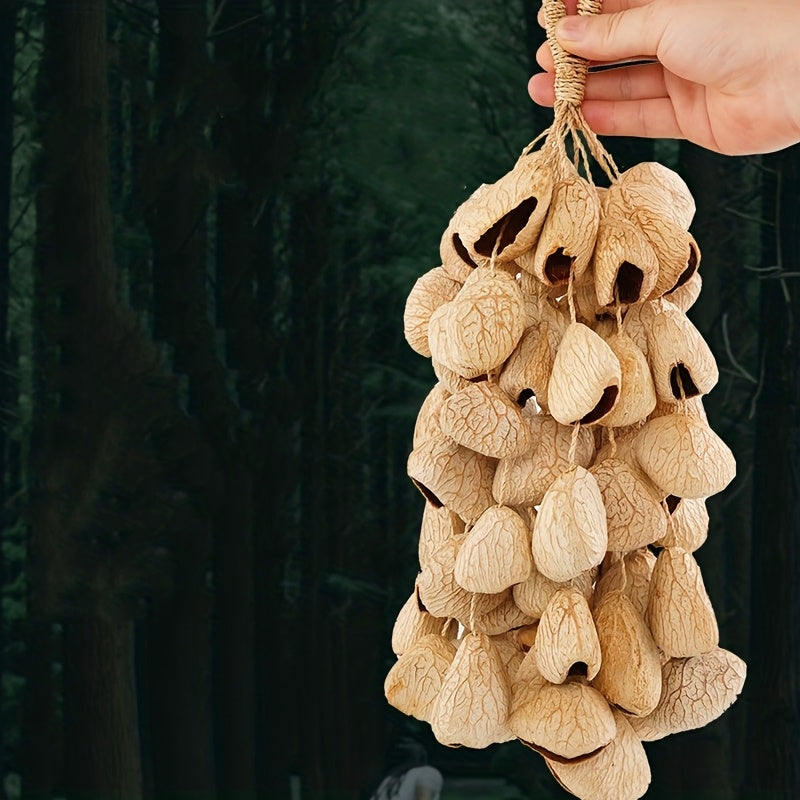 Seed Shell Shaker — Panj-60
