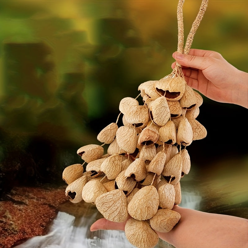 Seed Shell Shaker — Panj-60