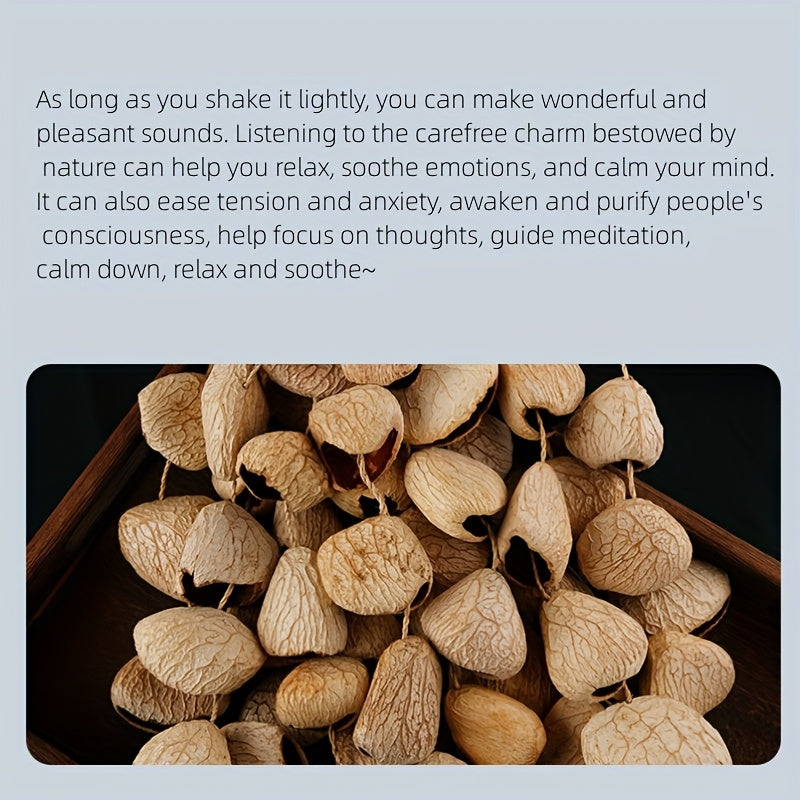 Seed Shell Shaker — Panj-60