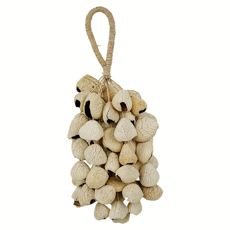 Seed Shell Shaker — Panj-60