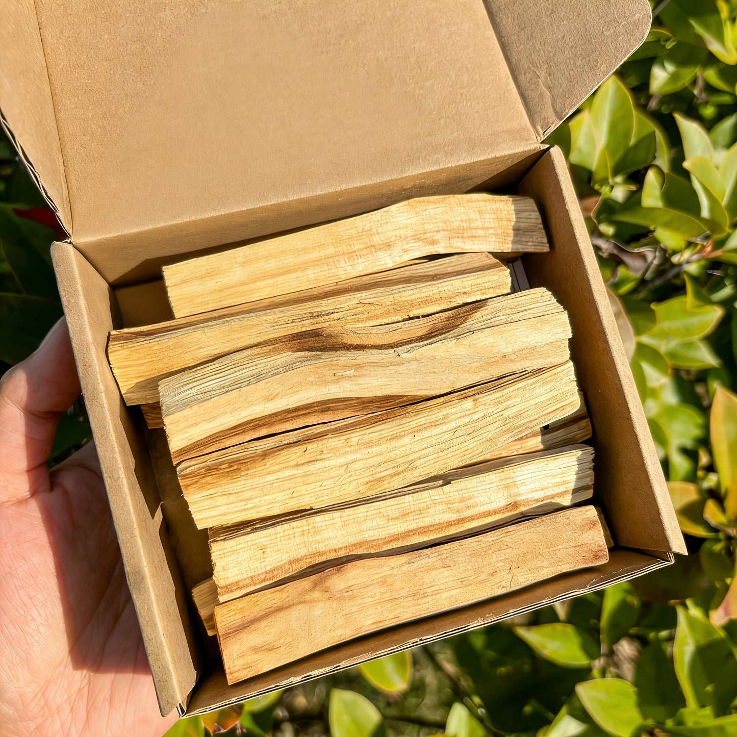Palo Santo Smudging Set - 12 Natural Sticks with Incense Guidance Card