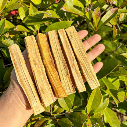 Palo Santo Smudging Set - 12 Natural Sticks with Incense Guidance Card