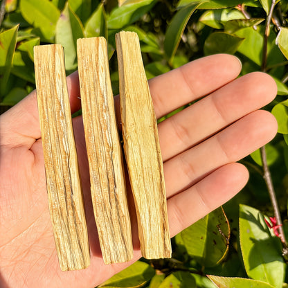 Palo Santo Smudging Set - 12 Natural Sticks with Incense Guidance Card