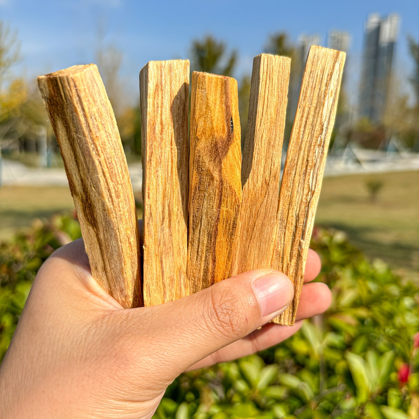 Palo Santo Smudging Set - 12 Natural Sticks with Incense Guidance Card