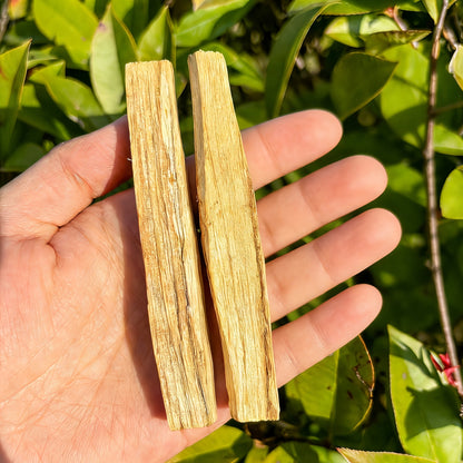 Palo Santo Smudging Set - 6 Natural Sticks with Incense Guidance Card