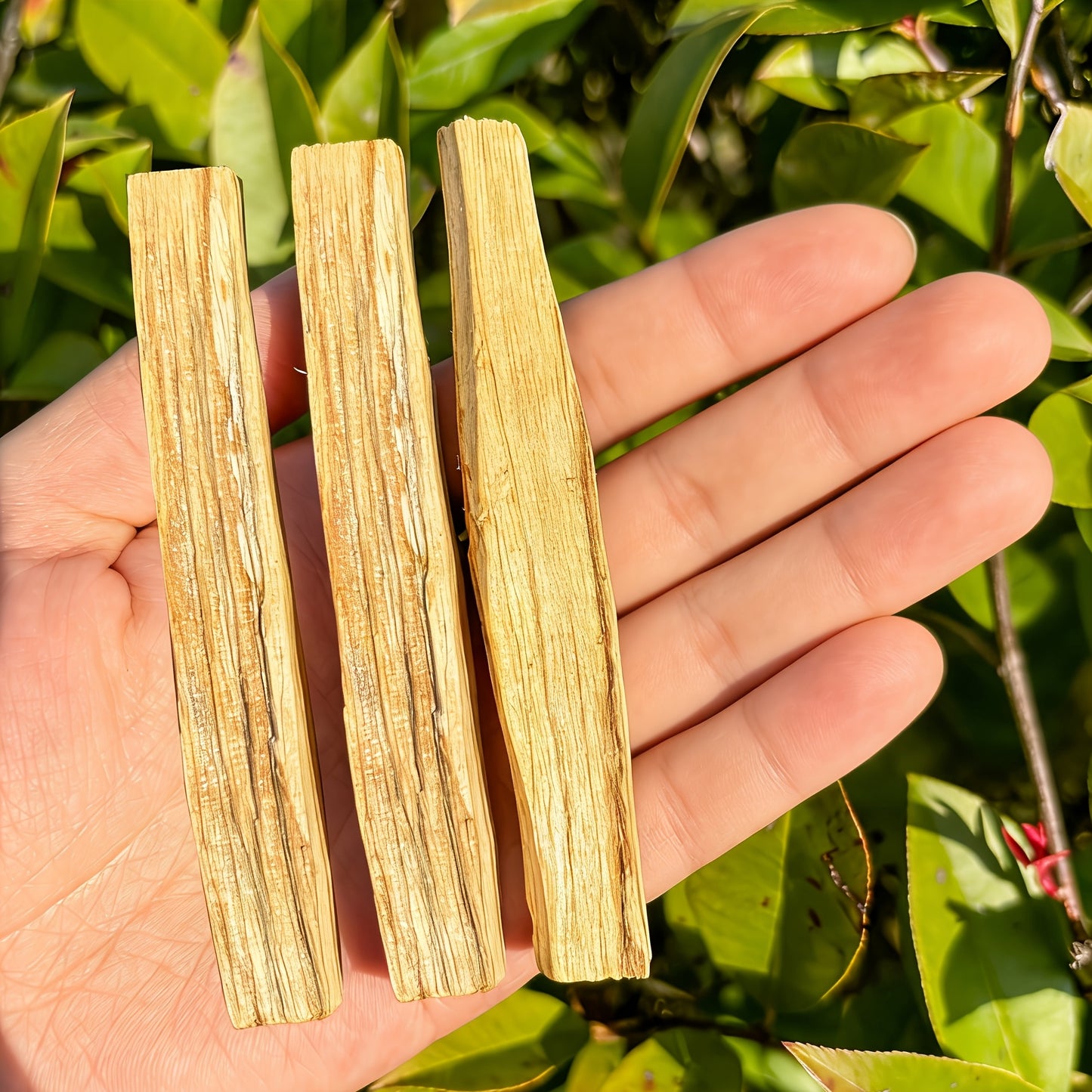 Palo Santo Smudging Set - 6 Natural Sticks with Incense Guidance Card