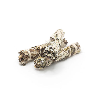 Space Clearing Set - 10 Palo Santo + 2 White Sage