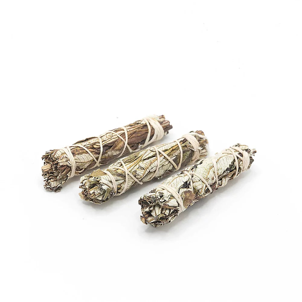Space Clearing Set - 10 Palo Santo + 2 White Sage